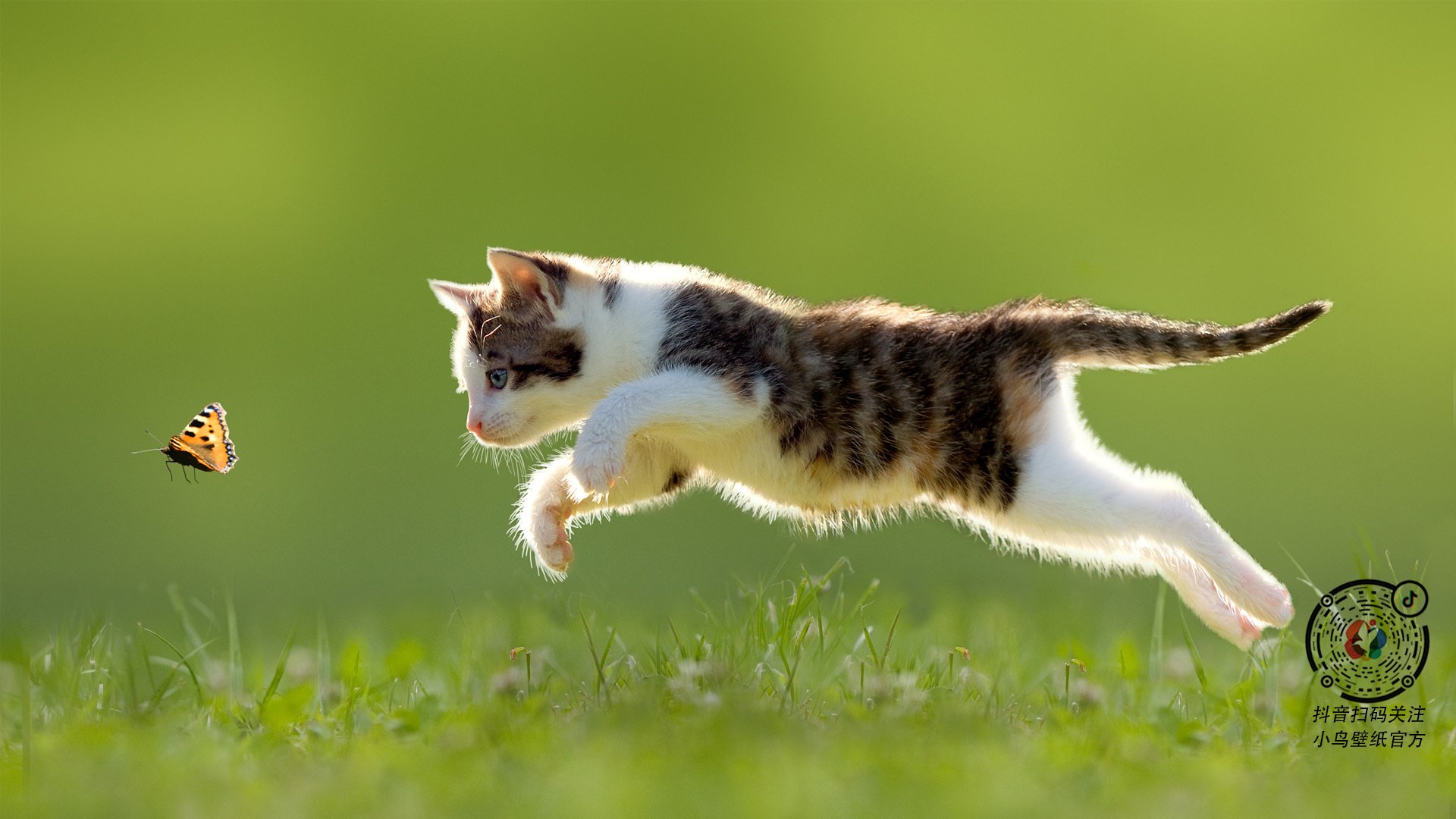 _体育摄影大赛：镜头捕捉运动瞬间之美_，体育摄影一般用什么镜头